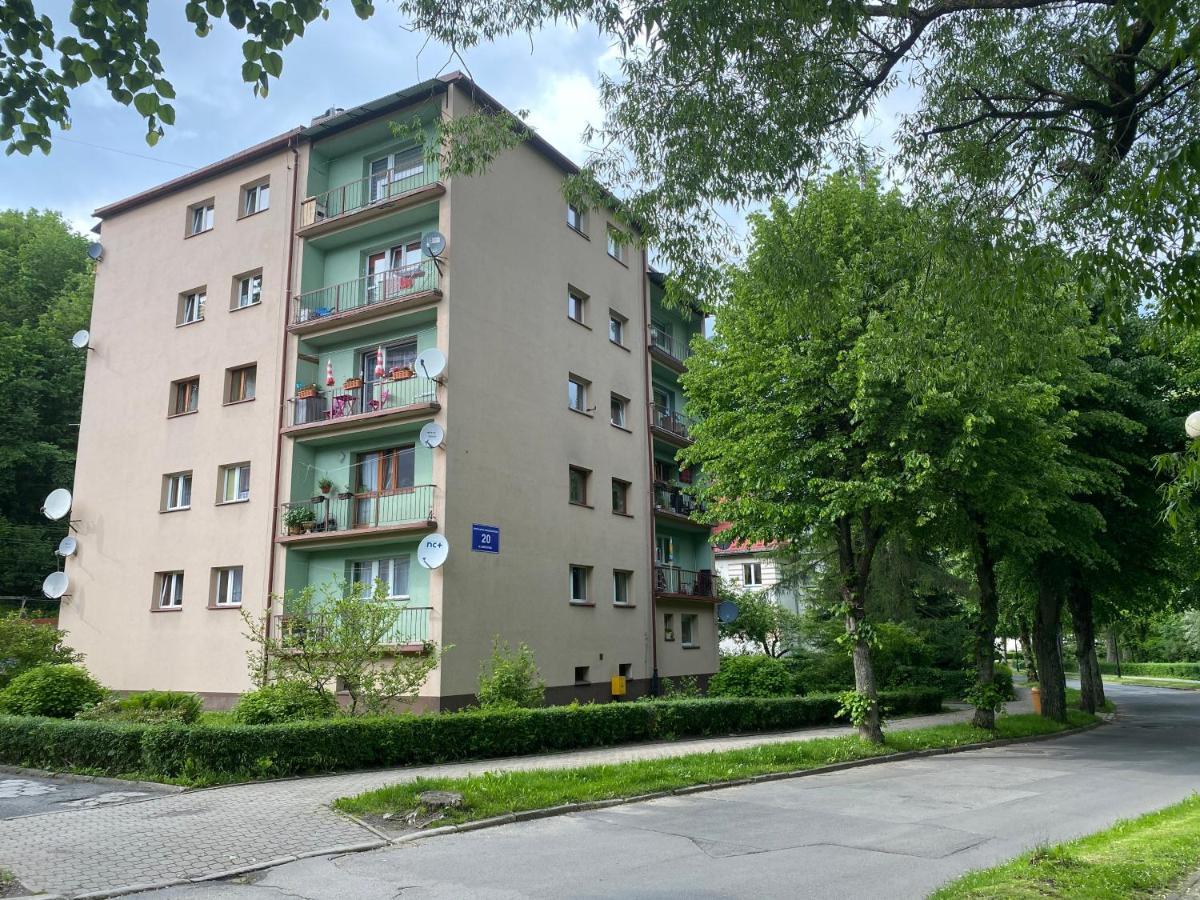 Appartement Blue Sky Apartament à Duszniki Zdrój Extérieur photo