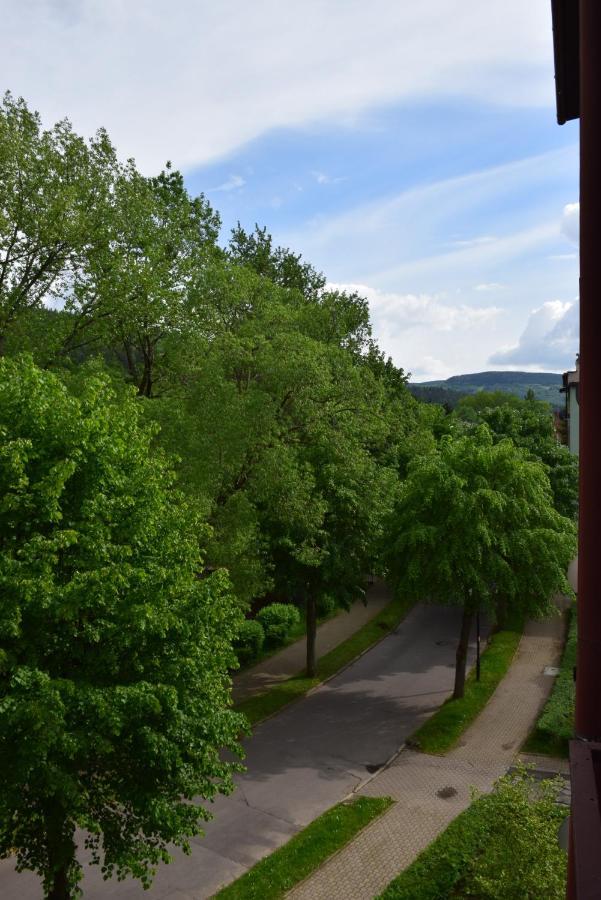 Appartement Blue Sky Apartament à Duszniki Zdrój Extérieur photo